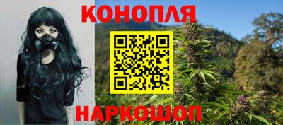 гашик Старая Купавна