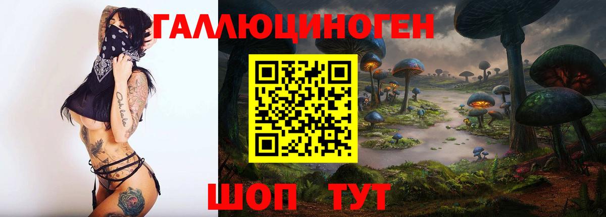 Муром  Галлюциногенные грибы мухоморы  Вход с VPN 